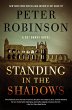 Standing in the Shadows (eBook, ePUB) - Bild 1