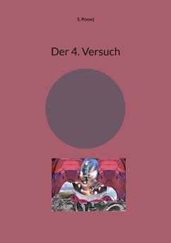 Der 4. Versuch (eBook, ePUB)