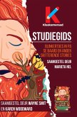 Studiegids: Blinkertjies in Pa se baard (1ste druk) (eBook, ePUB)