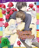 Sekaiichi Hatsukoi - Staffel 1 - Vol. 1 Limited Edition