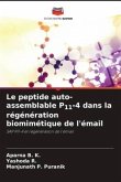 Le peptide auto-assemblable P11-4 dans la régénération biomimétique de l'émail