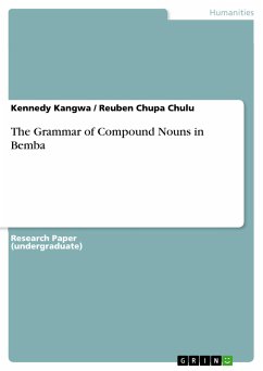 The Grammar of Compound Nouns in Bemba (eBook, PDF)