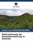 Wahrnehmung der Umweltzerstörung in Owando