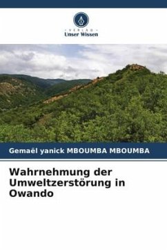 Wahrnehmung der Umweltzerstörung in Owando - Mboumba Mboumba, Gemael Yanick