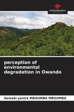 perception of environmental degradation in Owando - Mboumba Mboumba, Gemael Yanick