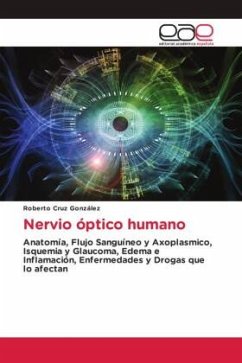 Nervio óptico humano - Cruz González, Roberto