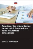 Améliorer les mécanismes de sécurité économique dans les petites entreprises