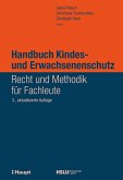 Handbuch Kindes- und Erwachsenenschutz (eBook, PDF)