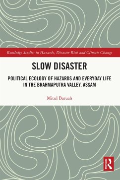 Cover Slow Disaster (eBook, ePUB)