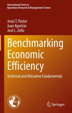 Benchmarking Economic Efficiency (eBook, PDF) - Pastor, Jesús T.; Aparicio, Juan; Zofío, José L.