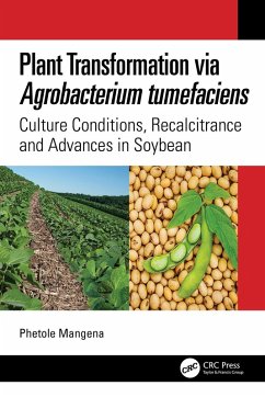 Plant Transformation via Agrobacterium Tumefaciens (eBook, PDF) - Mangena, Phetole