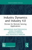 Industry Dynamics and Industry 4.0 (eBook, PDF)