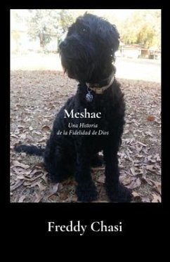Cover Meshac (eBook, ePUB)