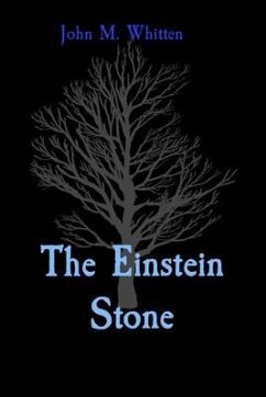Cover The Einstein Stone (eBook, ePUB)