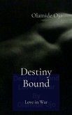 Destiny Bound (eBook, ePUB)