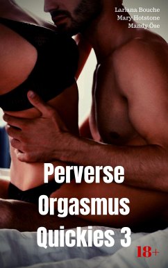 Perverse Orgasmus Quickies 3 (eBook, ePUB) - Bouche, Lariana; Hotstone, Mary; Öse, Mandy