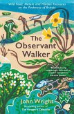 The Observant Walker (eBook, ePUB)