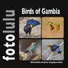 Birds of Gambia (eBook, ePUB) - Bild 1