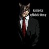 Matt the Cat - Bild 1