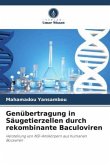 Genübertragung in Säugetierzellen durch rekombinante Baculoviren