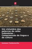 Um vislumbre das palavras de calão Indonésias - Compreensão da língua e da cultura