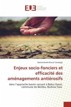 Enjeux socio-fonciers et efficacité des aménagements antiérosifs - Yameogo, Baowindnéré Bruno