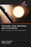 Curcuma: Una soluzione per le formiche