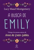 A busca de Emily (eBook, ePUB)