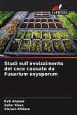 Studi sull'avvizzimento del cece causato da Fusarium oxysporum