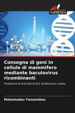 Consegna di geni in cellule di mammifero mediante baculovirus ricombinanti - Yansambou, Mahamadou