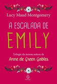 A escalada de Emily (eBook, ePUB)