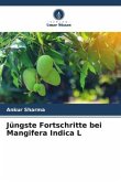 Jüngste Fortschritte bei Mangifera Indica L