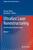 Ultrafast Laser Nanostructuring