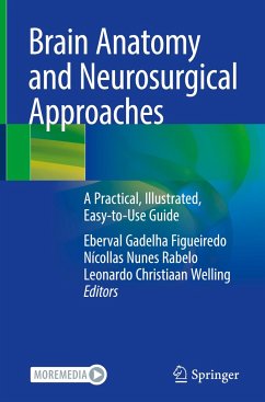 Brain Anatomy and Neurosurgical Approaches