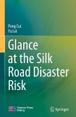 Glance at the Silk Road Disaster Risk