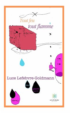 Tout feu tout flamme (eBook, ePUB) - Lefebvre-Goldmann, Luce