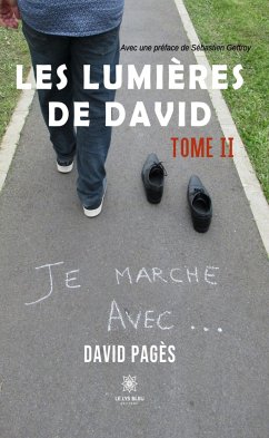 Les lumières de David - Tome 2 (eBook, ePUB) - Pagès, David