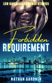 Forbidden Requirement - 150 Gay Male Romance Stories (eBook, ePUB)