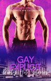 Gay Explicit Dirty Hot Stories (eBook, ePUB)