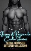 Steamy Passionate Erotic Stories (eBook, ePUB)