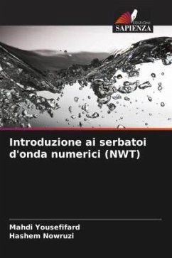 Introduzione ai serbatoi d'onda numerici (NWT) - Yousefifard, Mahdi;Nowruzi, Hashem