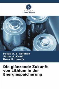 Die glänzende Zukunft von Lithium in der Energiespeicherung - Soliman, Fouad A. S.;Kamh, Sanaa A.;Hanafy, Doaa H.