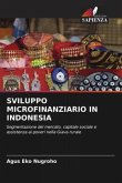 SVILUPPO MICROFINANZIARIO IN INDONESIA