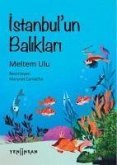 Istanbulun Baliklari