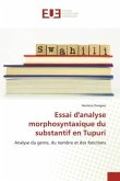 Essai d'analyse morphosyntaxique du substantif en Tupuri