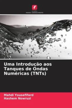 Uma Introdução aos Tanques de Ondas Numéricas (TNTs) - Yousefifard, Mahdi;Nowruzi, Hashem