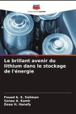 Le brillant avenir du lithium dans le stockage de l'énergie