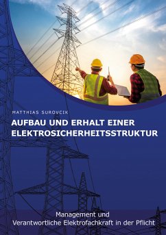 Aufbau und Erhalt einer Elektrosicherheitsstruktur (eBook, ePUB) - Surovcik, Matthias