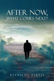 After Now, What Comes Next? (eBook, ePUB)