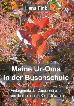 Meine Ur-Oma in der Buschschule (eBook, ePUB) - Fink, Hans